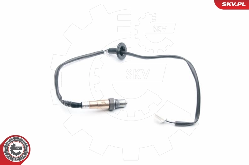 Oxygen Sensor